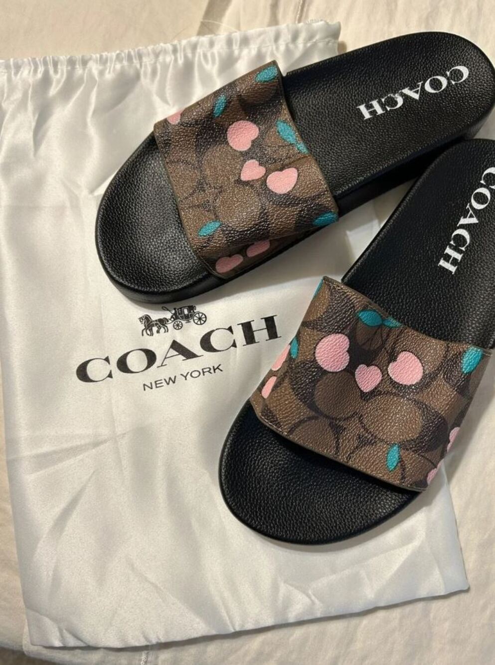 COACH Womens Udele Sport Slide Signature Brown Canvas Cherry Print DUST BAG 8.